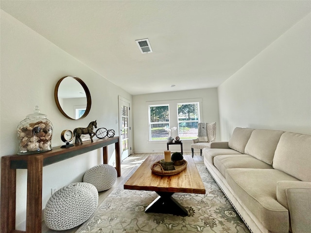 living room with wood-type flooring