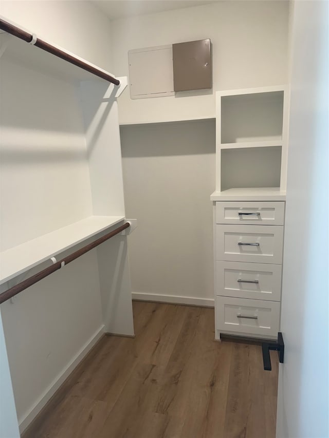 spacious closet with dark hardwood / wood-style floors