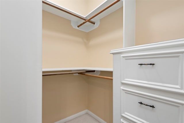 view of walk in closet