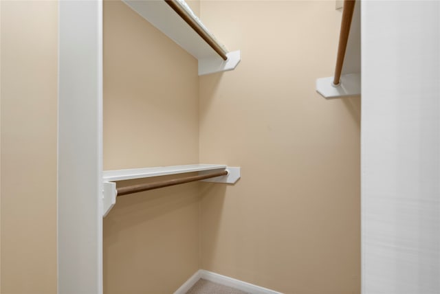 view of walk in closet