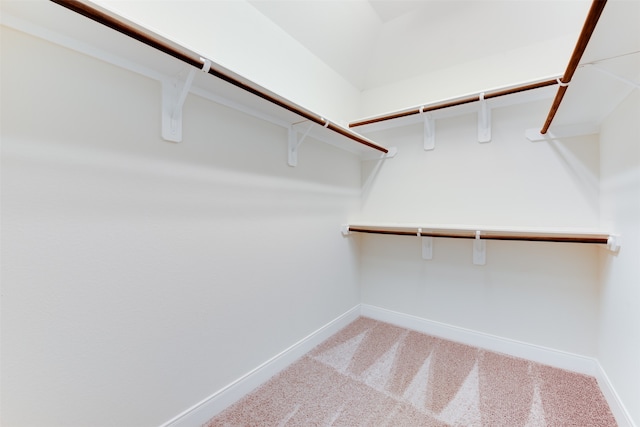 spacious closet featuring light colored carpet