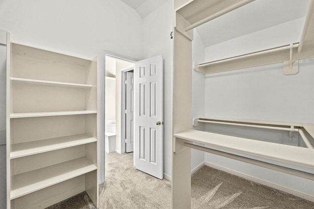 spacious closet with carpet flooring