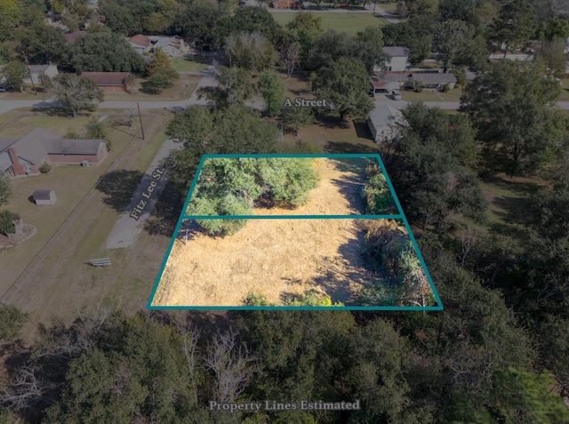 000 Fitz Lee St, Waller TX, 77484 land for sale