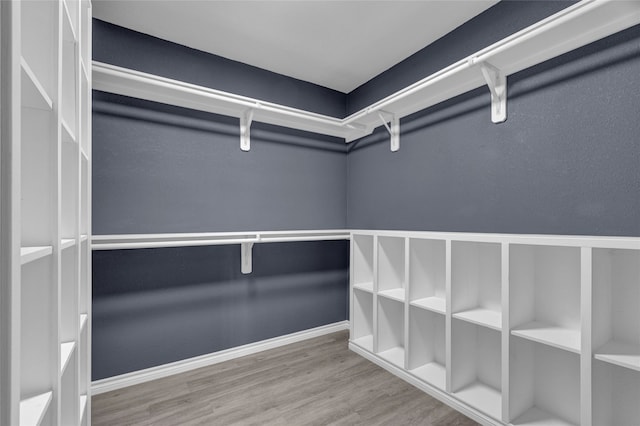 walk in closet featuring hardwood / wood-style flooring