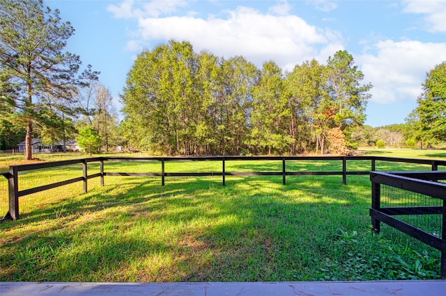 view of yard with a rural view