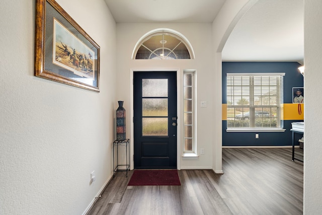 foyer entrance with dark hardwood / wood-style flooring