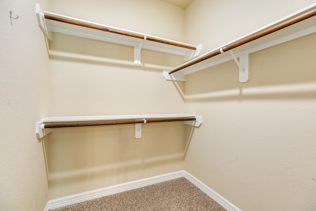 walk in closet featuring carpet