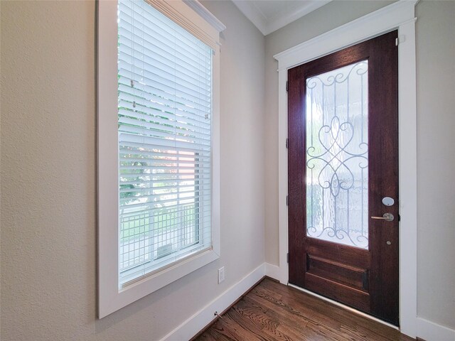 entrance foyer featuring dark hardwood / wood-style flooring