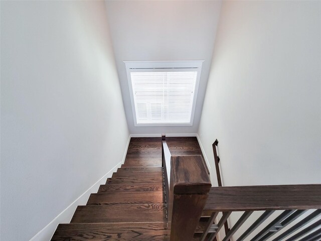 stairs featuring hardwood / wood-style flooring