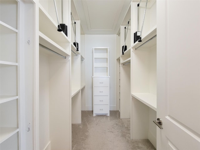 spacious closet featuring light colored carpet