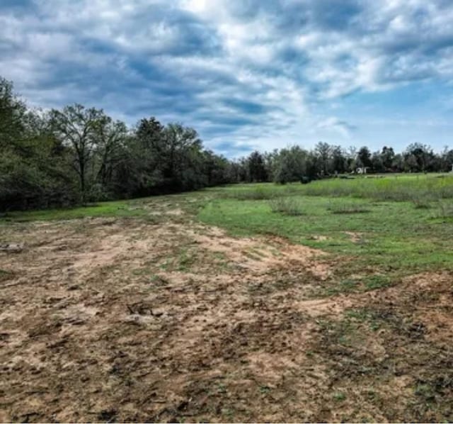 TBD County Road 314, Rockdale TX, 76567 land for sale