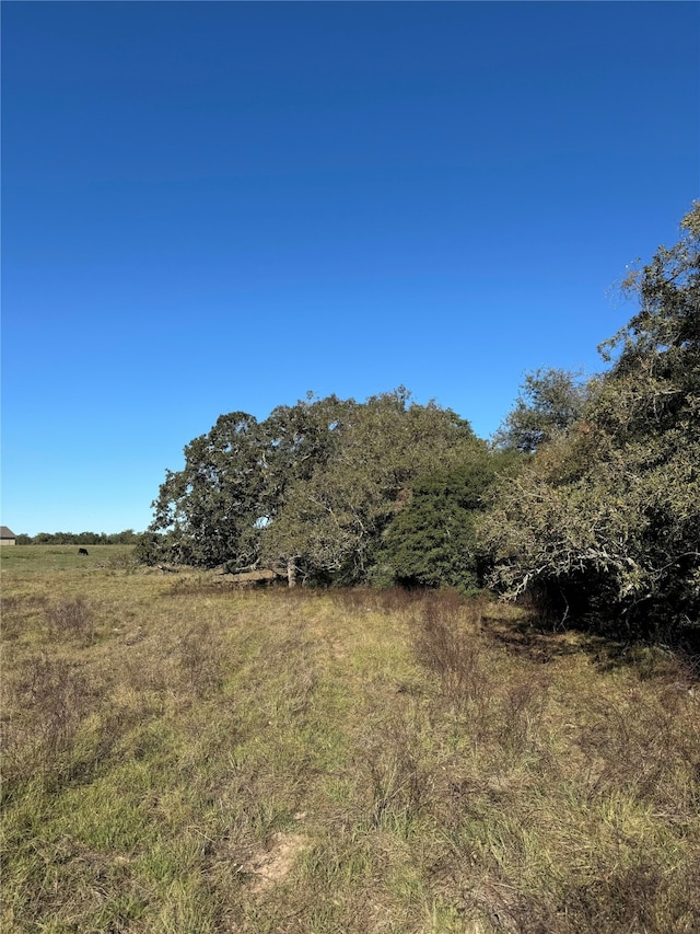 Listing photo 2 for TBD County Road 314, Rockdale TX 76567