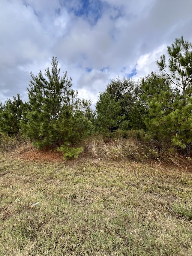 499 County Road 5017, Cleveland TX, 77327 land for sale