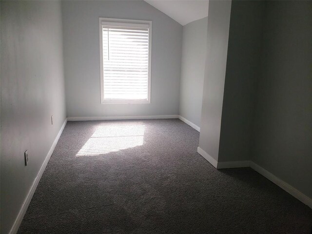 additional living space featuring carpet and vaulted ceiling