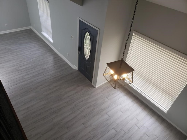 entrance foyer with wood-type flooring