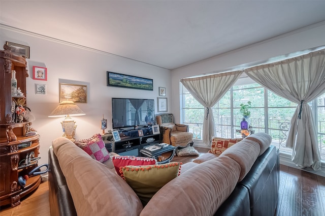 living room with wood-type flooring and crown molding