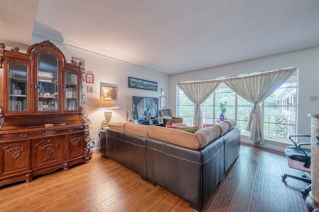 living room with hardwood / wood-style floors