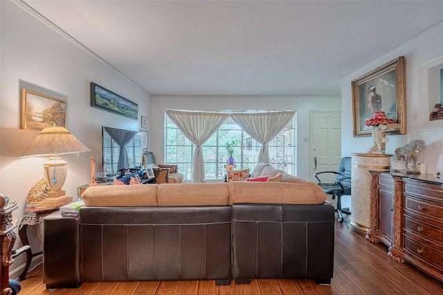 living room featuring hardwood / wood-style flooring