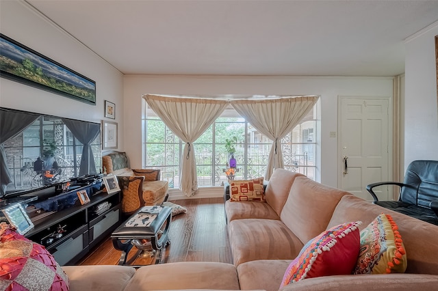 living room featuring ornamental molding and hardwood / wood-style floors