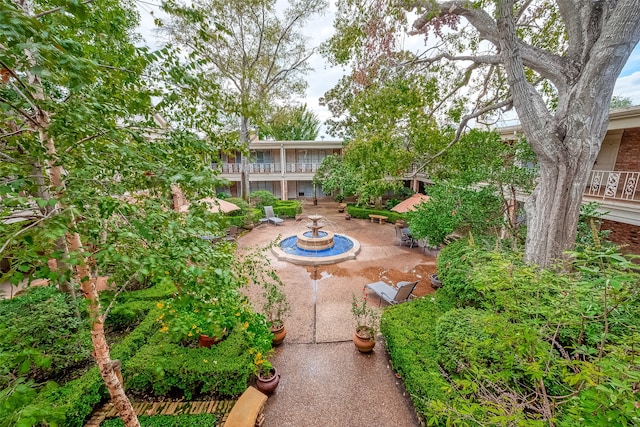 view of yard featuring a patio area