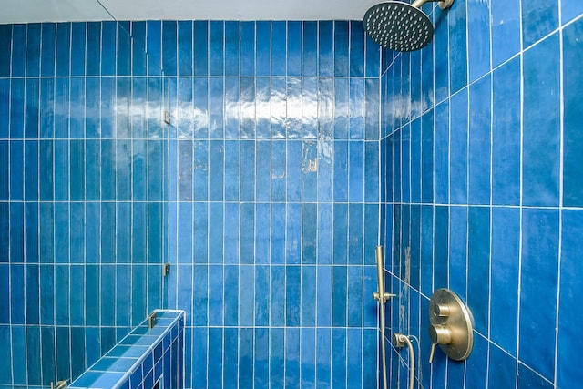 room details with a tile shower