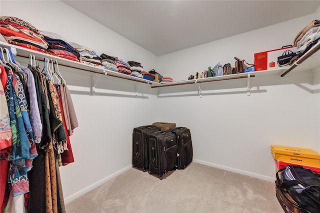 walk in closet with light colored carpet