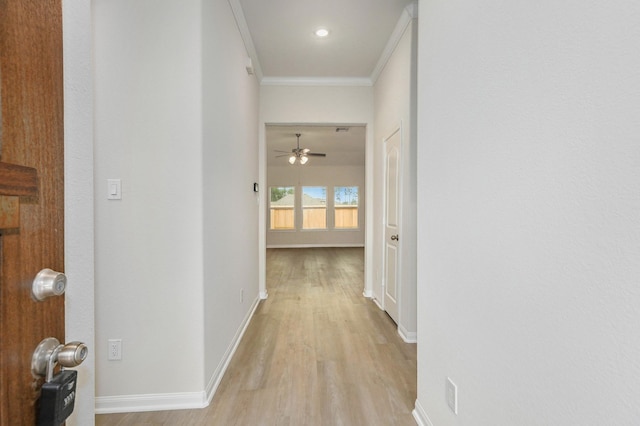 hallway featuring light hardwood / wood-style flooring and crown molding