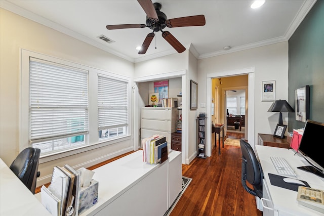 office space with ornamental molding, ceiling fan, and dark hardwood / wood-style floors