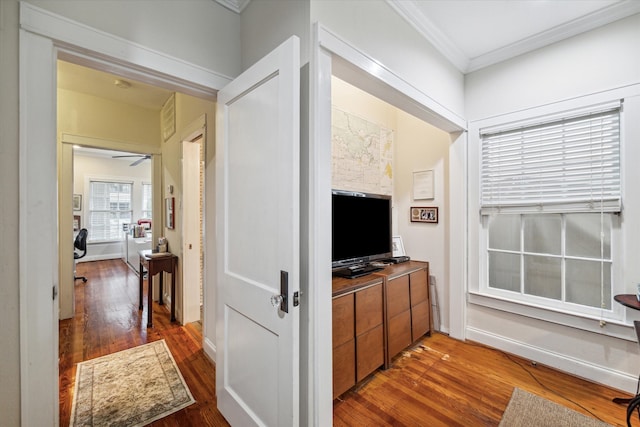 corridor featuring ornamental molding and dark hardwood / wood-style flooring