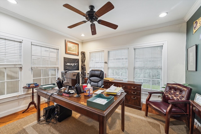 home office with light hardwood / wood-style floors, ceiling fan, and ornamental molding