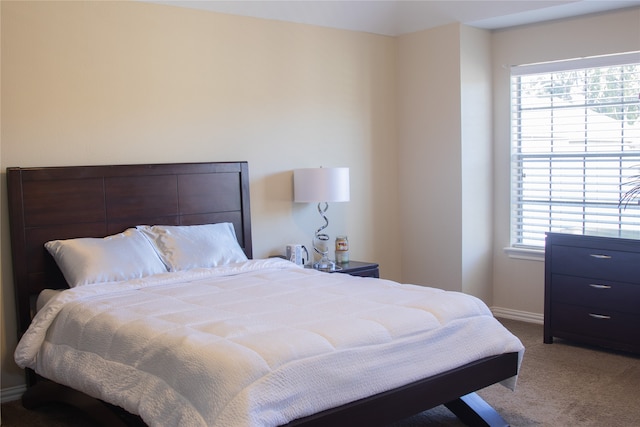 bedroom featuring multiple windows and carpet