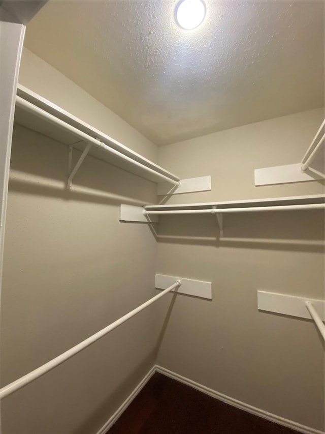16703 Sentinel Dr, Houston, TX 77053 - view of spacious closet