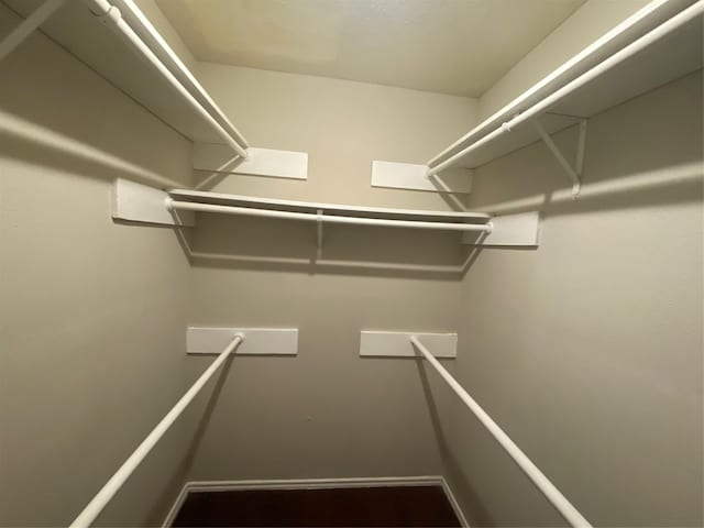16703 Sentinel Dr, Houston, TX 77053 - view of spacious closet