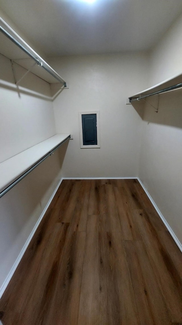 walk in closet featuring electric panel and dark hardwood / wood-style floors