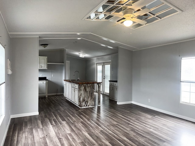 kitchen with dark hardwood / wood-style flooring, a textured ceiling, and a healthy amount of sunlight