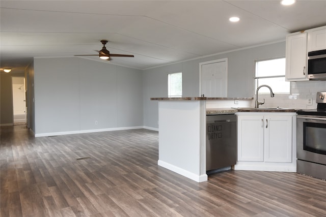 kitchen featuring dark hardwood / wood-style flooring, a healthy amount of sunlight, sink, and appliances with stainless steel finishes