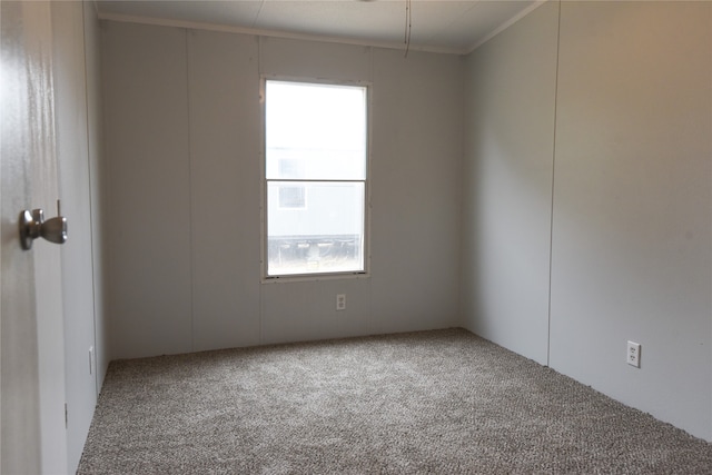 carpeted empty room with ornamental molding