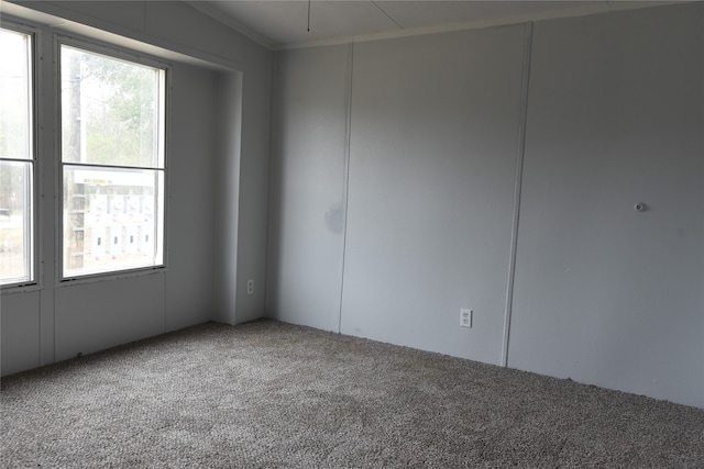 empty room featuring carpet