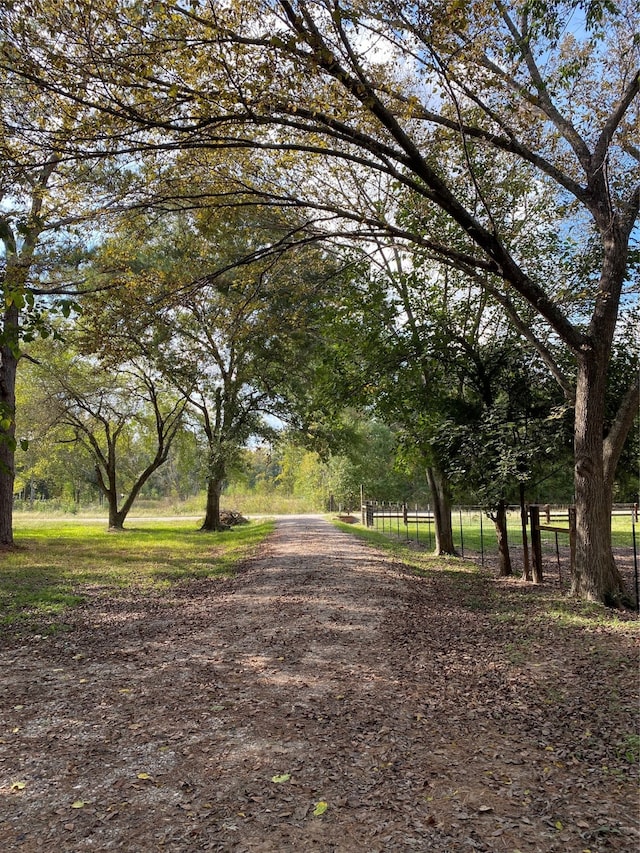 view of road