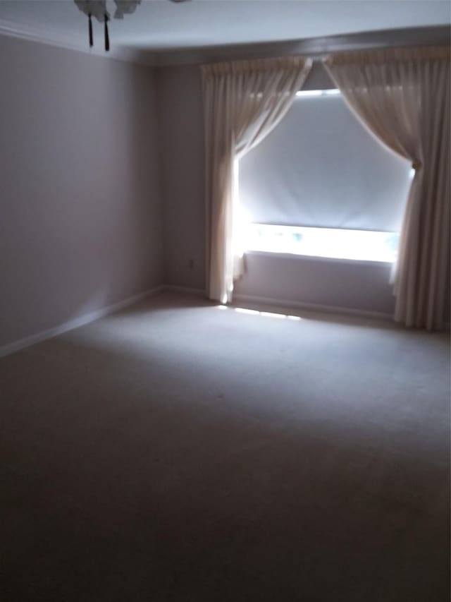 unfurnished room featuring carpet flooring