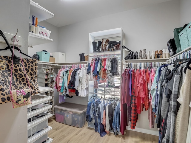 spacious closet featuring hardwood / wood-style floors