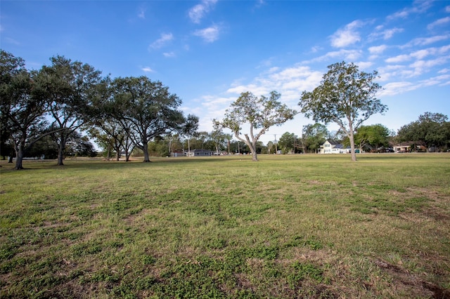 1310 N Wharton St, El Campo TX, 77437 land for sale