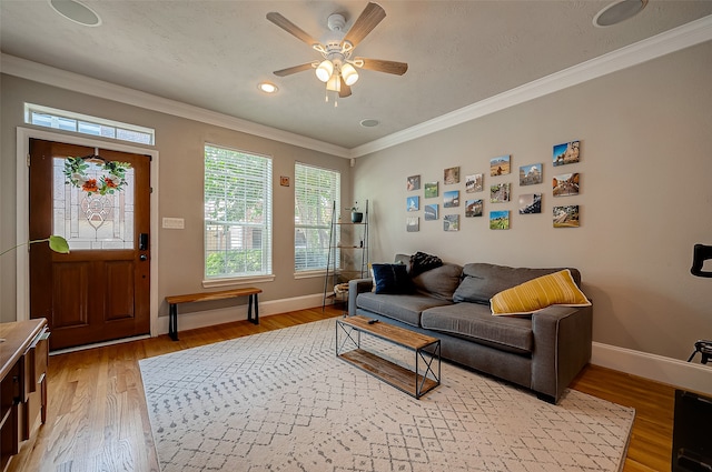 living room featuring light hardwood / wood-style floors, ceiling fan, and crown molding