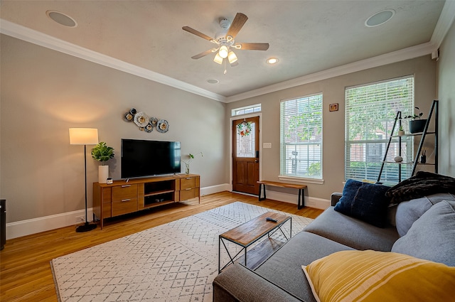 living room with ornamental molding, light hardwood / wood-style flooring, and ceiling fan