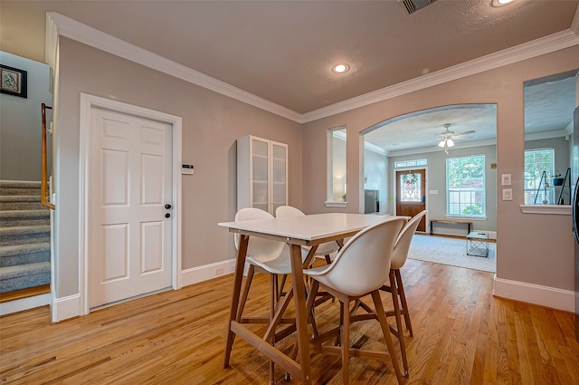 dining space with light hardwood / wood-style floors, ceiling fan, and crown molding