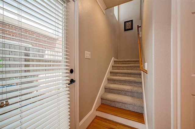 staircase with hardwood / wood-style flooring