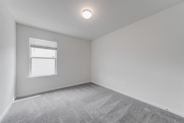 spare room with carpet