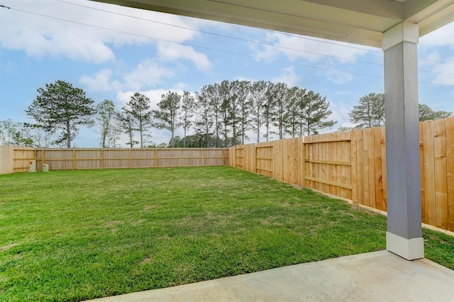 view of yard featuring a patio