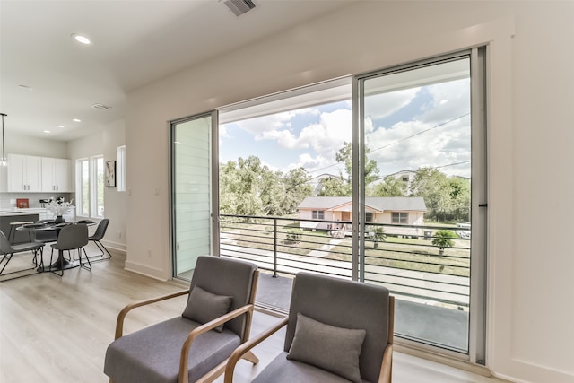 entryway with plenty of natural light and light wood-type flooring