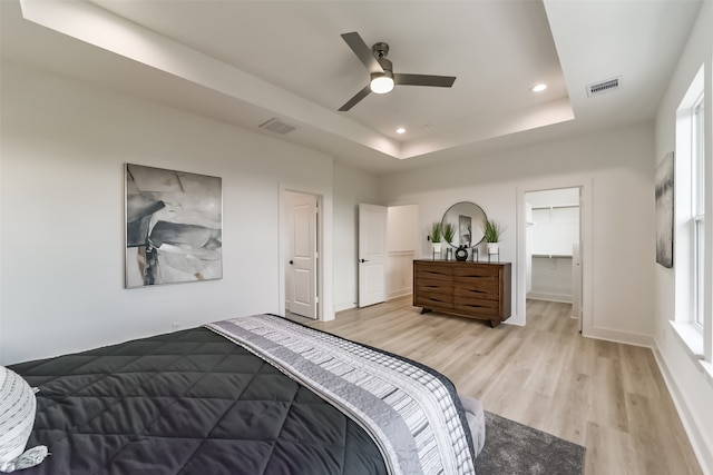 bedroom featuring ceiling fan, a tray ceiling, a closet, light wood-type flooring, and a walk in closet